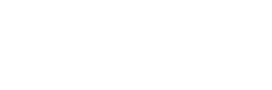 Softaware Tech Logo